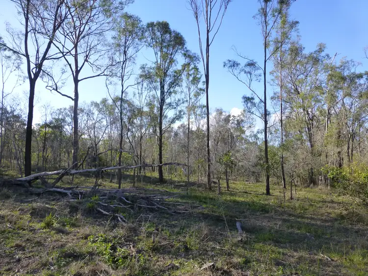 Sixth view of Homely rural property listing, LOT 1 ISIS HIGHWAY, Dallarnil QLD 4621
