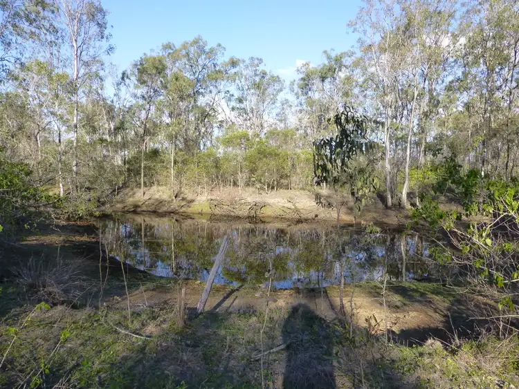 Seventh view of Homely rural property listing, LOT 1 ISIS HIGHWAY, Dallarnil QLD 4621