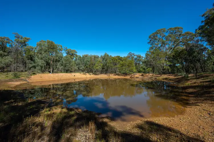 Main view of Homely rural property listing, 589 Patrick Road, Dunedoo NSW 2844
