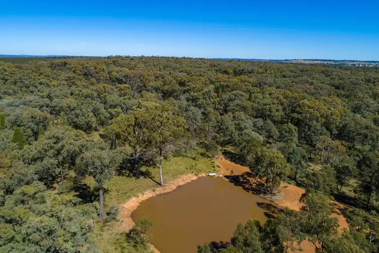 Third view of Homely rural property listing, 589 Patrick Road, Dunedoo NSW 2844