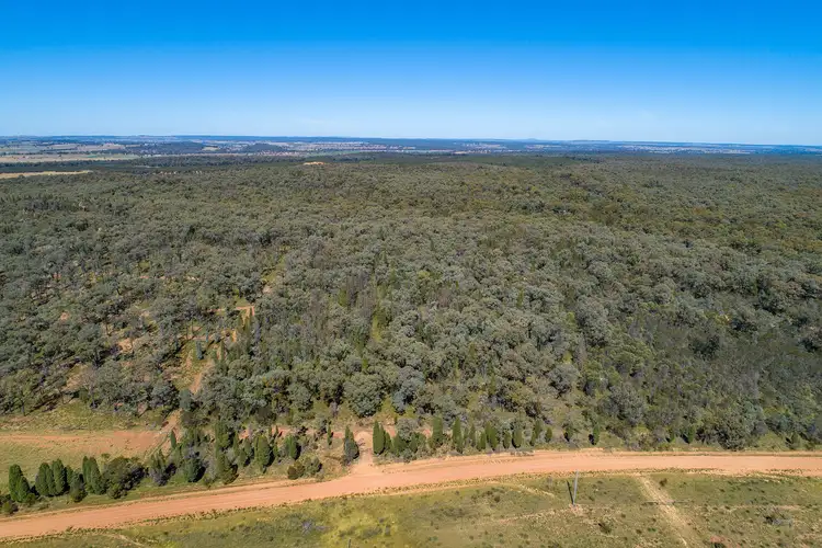 Fourth view of Homely rural property listing, 589 Patrick Road, Dunedoo NSW 2844