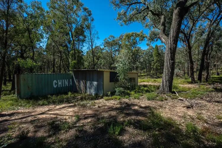 Fifth view of Homely rural property listing, 589 Patrick Road, Dunedoo NSW 2844