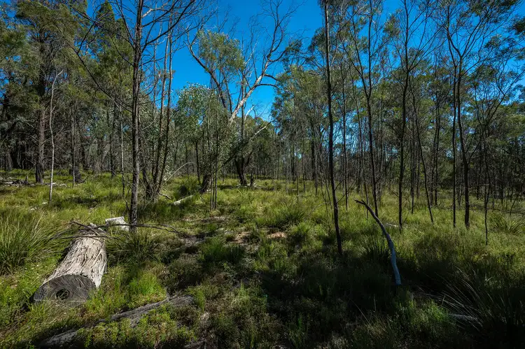 Sixth view of Homely rural property listing, 589 Patrick Road, Dunedoo NSW 2844