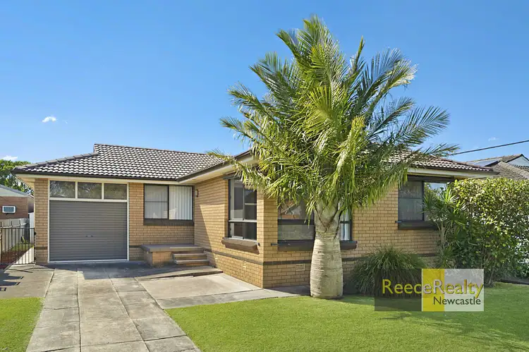 Main view of Homely house listing, 163 Marsden Street, Shortland NSW 2307