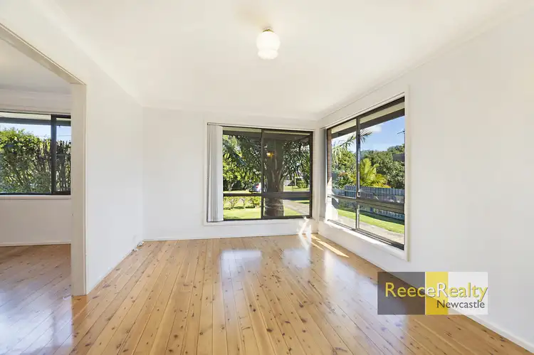Third view of Homely house listing, 163 Marsden Street, Shortland NSW 2307
