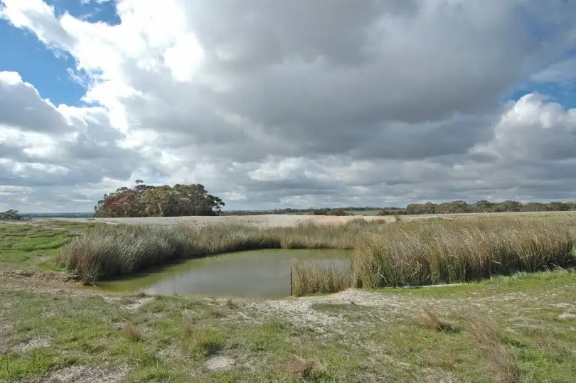 Main view of Homely rural property listing, LOT 18717 Mawson Dodenanning Road, Quairading WA 6383