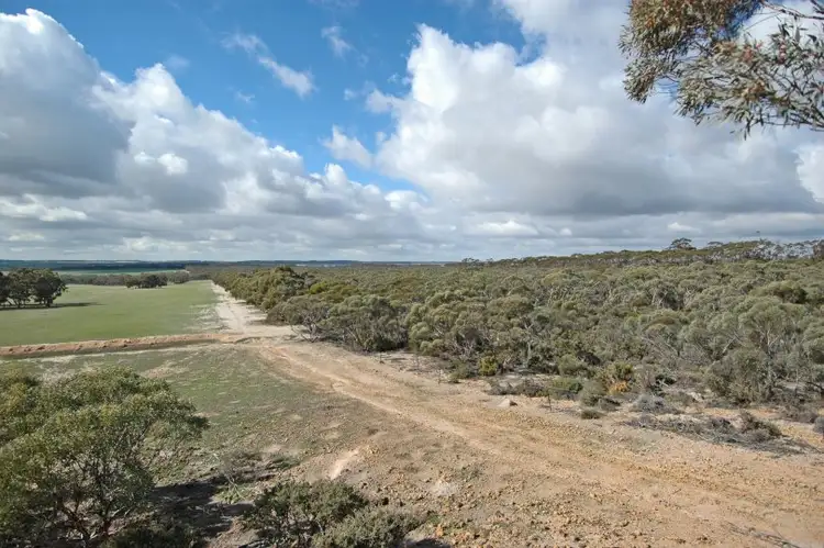 Seventh view of Homely rural property listing, LOT 18717 Mawson Dodenanning Road, Quairading WA 6383