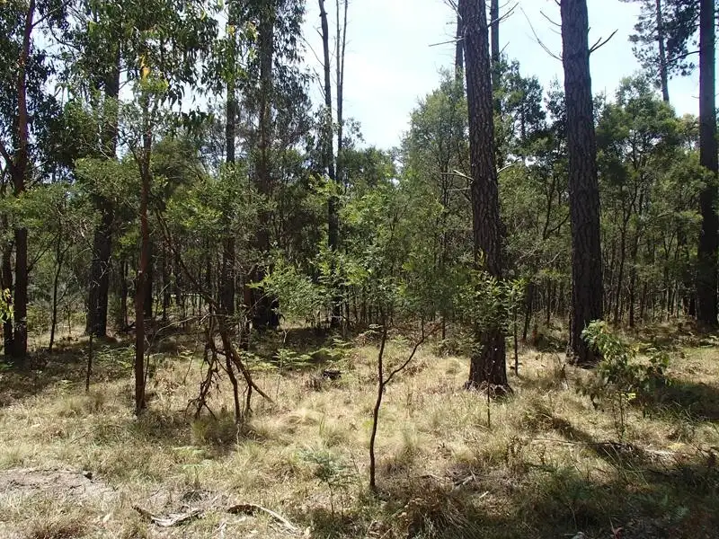 Main view of Homely land listing, LOT 162 Ironbark Road, Stanthorpe QLD 4380