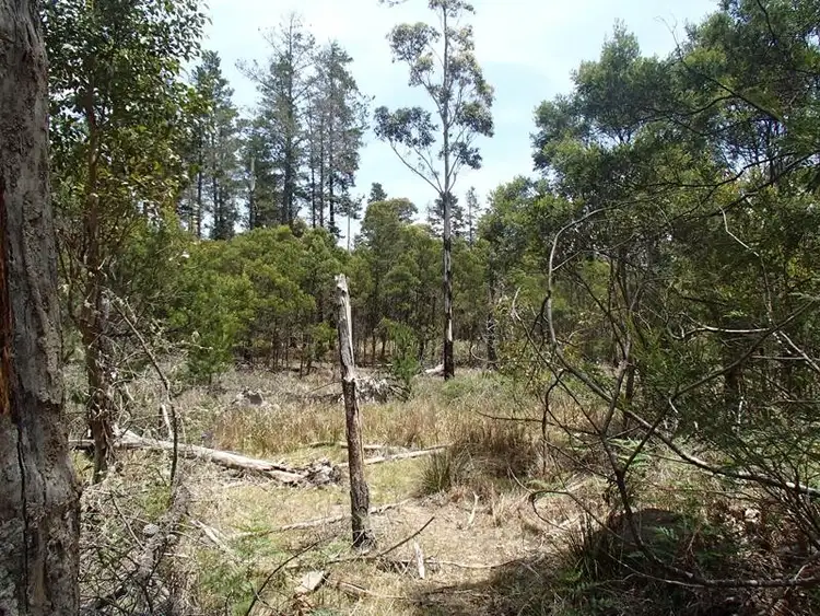 Third view of Homely land listing, LOT 162 Ironbark Road, Stanthorpe QLD 4380
