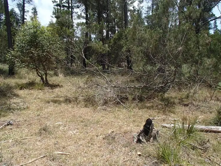Sixth view of Homely land listing, LOT 162 Ironbark Road, Stanthorpe QLD 4380