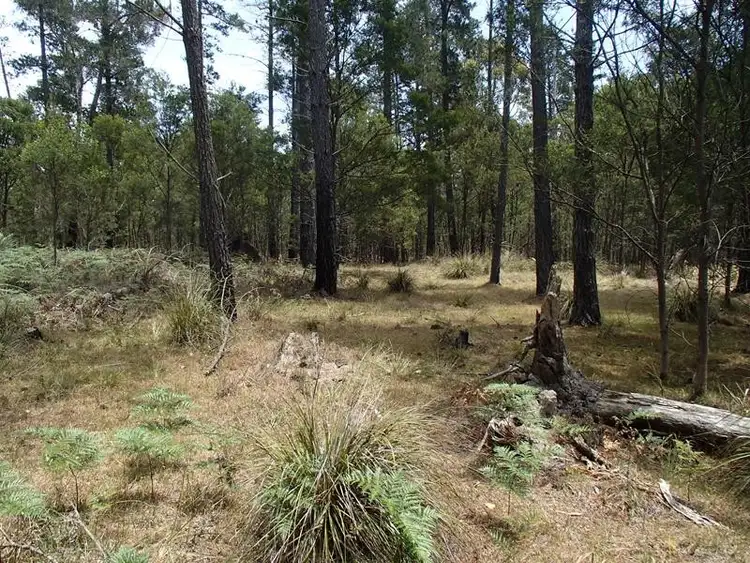 Seventh view of Homely land listing, LOT 162 Ironbark Road, Stanthorpe QLD 4380