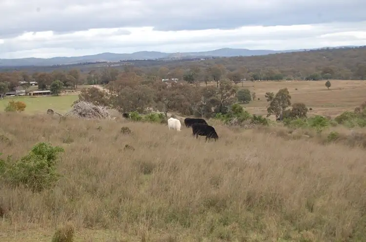 Fifth view of Homely land listing, LOT 123, 111 Schoch Road, Rosenthal Heights QLD 4370