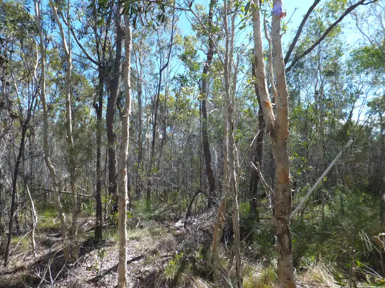 1575 BUXTON ROAD, Buxton QLD 4660