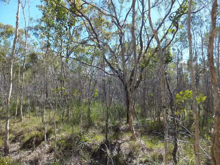 Second view of Homely rural property listing, 1575 BUXTON ROAD, Buxton QLD 4660