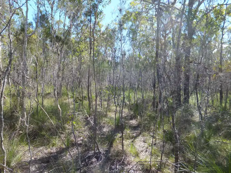 Third view of Homely rural property listing, 1575 BUXTON ROAD, Buxton QLD 4660