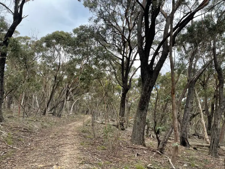 Seventh view of Homely rural property listing, 1264 Wombeyan Caves Road, Wiarborough via, Taralga NSW 2580