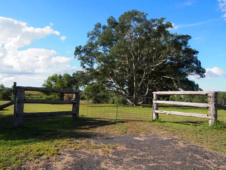 Fourth view of Homely rural property listing, 157 COOKS ROAD, South Isis QLD 4660