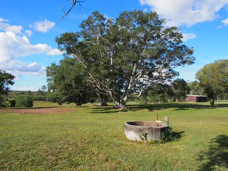 Fifth view of Homely rural property listing, 157 COOKS ROAD, South Isis QLD 4660