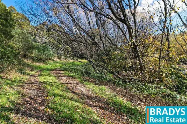 Sixth view of Homely land listing, 692 Rossi Road, Rossi NSW 2621