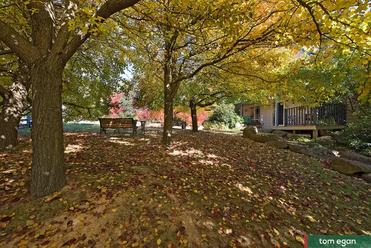 Sixth view of Homely house listing, 63 Edward Staff Drive, Kinglake VIC 3763