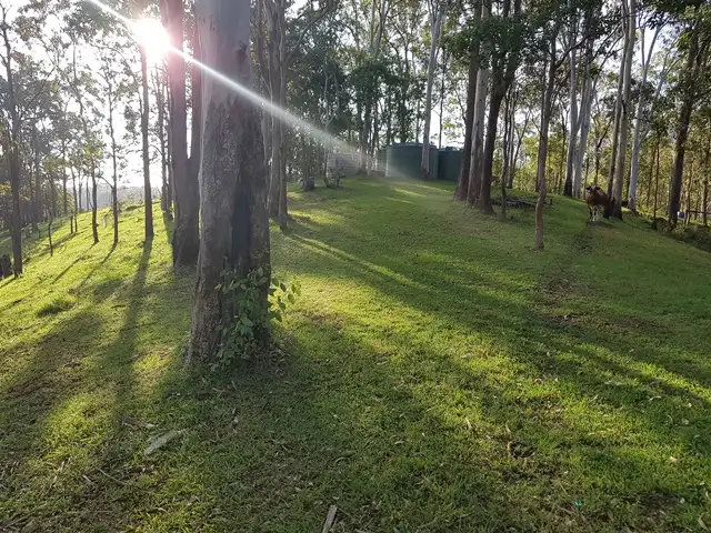 Sixth view of Homely rural property listing, 466 Bee Creek Road, Eungella QLD 4757