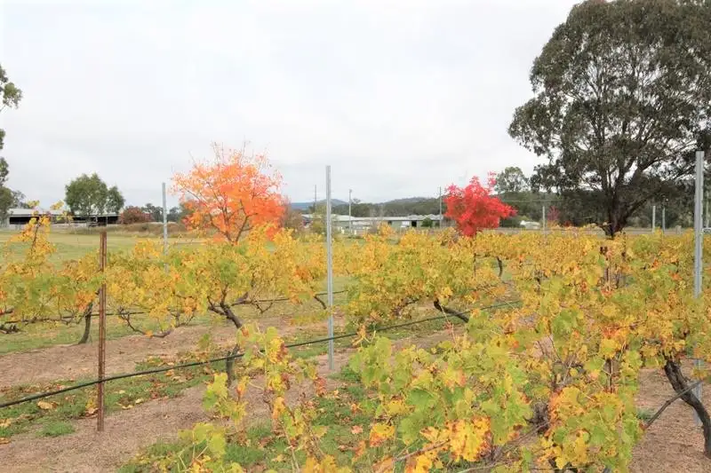 Main view of Homely house listing, 26925 New England Highway, Severnlea QLD 4380