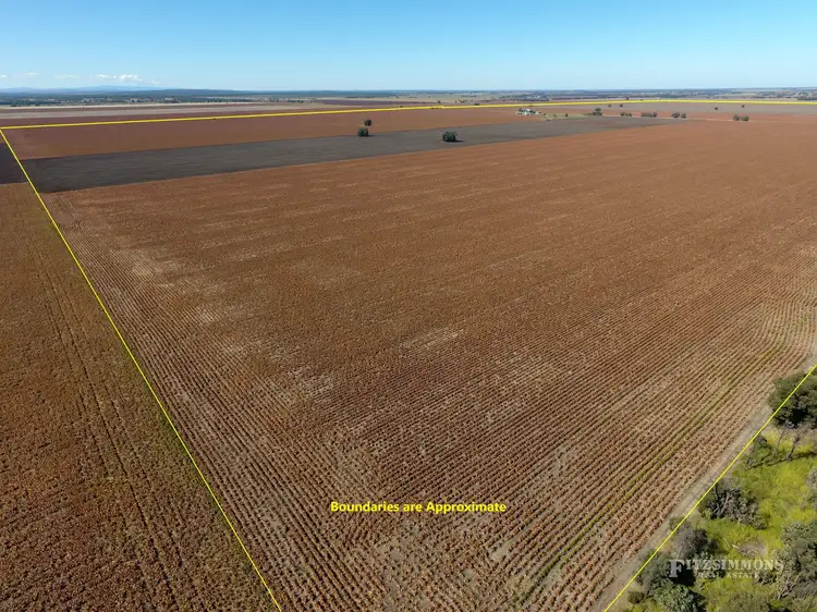 Second view of Homely rural property listing, 784 Langlands Road, Langlands, Jandowae QLD 4410