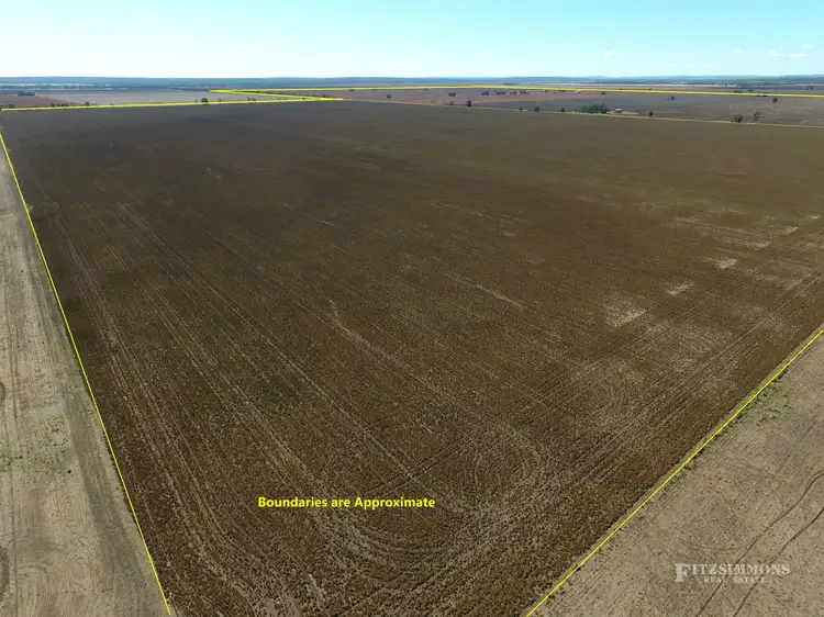 Third view of Homely rural property listing, 784 Langlands Road, Langlands, Jandowae QLD 4410