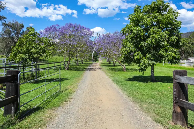 Fifth view of Homely house listing, 305 Biddaddaba Creek Rd, Biddaddaba QLD 4275