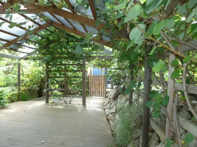 Fifth view of Homely house listing, 24 Scott Street, Branxholm TAS 7261