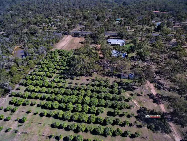 Third view of Homely house listing, 53 Pacific Haven CCt, Pacific Haven QLD 4659