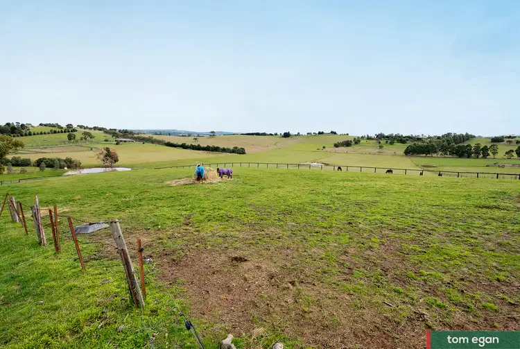 Fourth view of Homely rural property listing, 301 Whittlesea Yea Road, Whittlesea VIC 3757