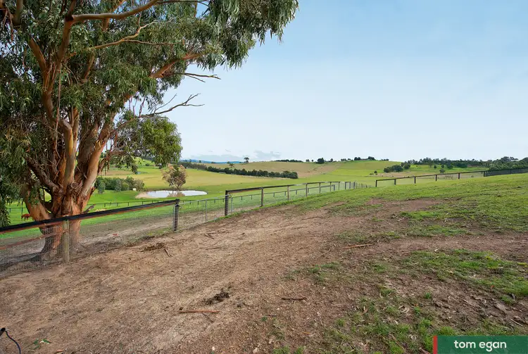 Seventh view of Homely rural property listing, 301 Whittlesea Yea Road, Whittlesea VIC 3757