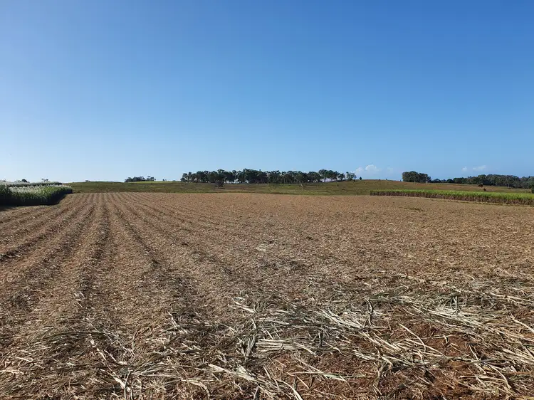 Second view of Homely rural property listing, 489 Hay Point Road, Alligator Creek QLD 4740