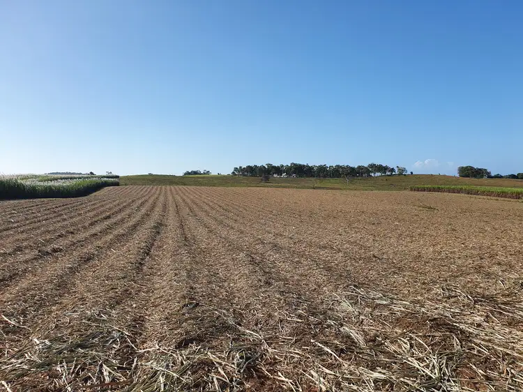 Third view of Homely rural property listing, 489 Hay Point Road, Alligator Creek QLD 4740