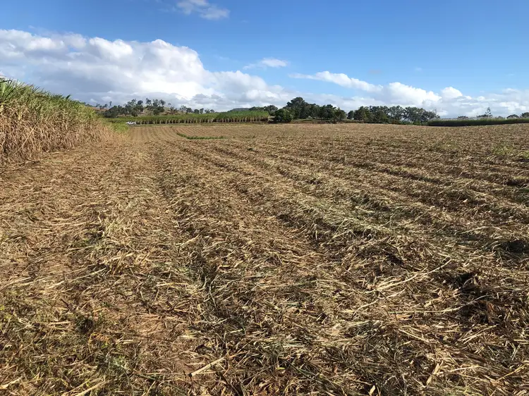 Fourth view of Homely rural property listing, 489 Hay Point Road, Alligator Creek QLD 4740