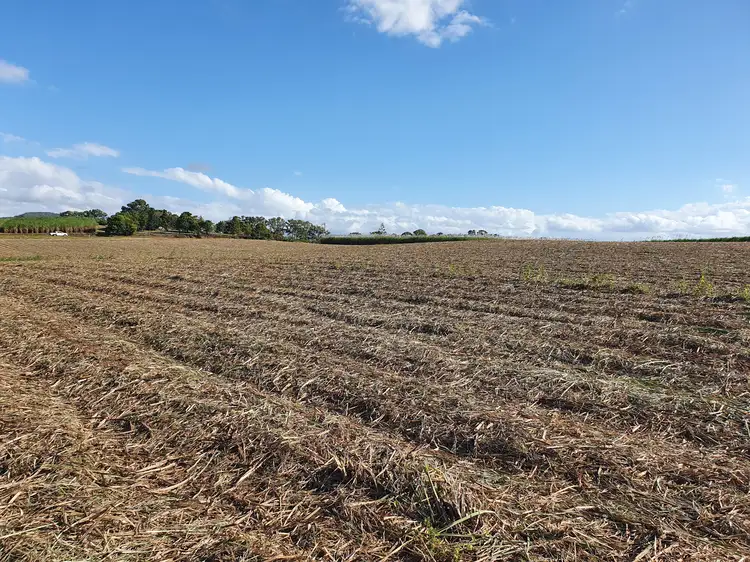 Fifth view of Homely rural property listing, 489 Hay Point Road, Alligator Creek QLD 4740