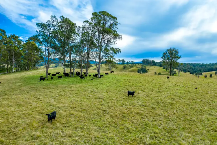 Sixth view of Homely rural property listing, 75 Spring Creek, Wards River NSW 2422