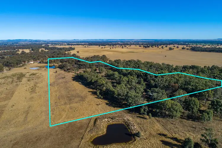 Fifth view of Homely rural property listing, 1001 Spring Creek Road, Gulgong NSW 2852