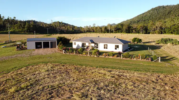 Main view of Homely rural property listing, 242 McFauls Road, Mount Martin QLD 4754