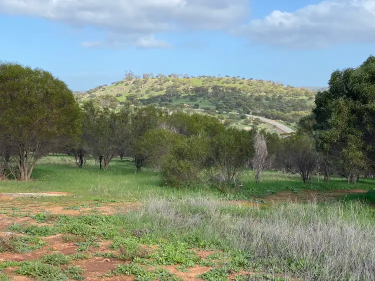 LOT 117 Nockdomine Rd, Toodyay WA 6566