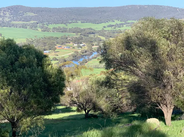 Main view of Homely rural property listing, LOT 111 Whitelakes Dve, Toodyay WA 6566
