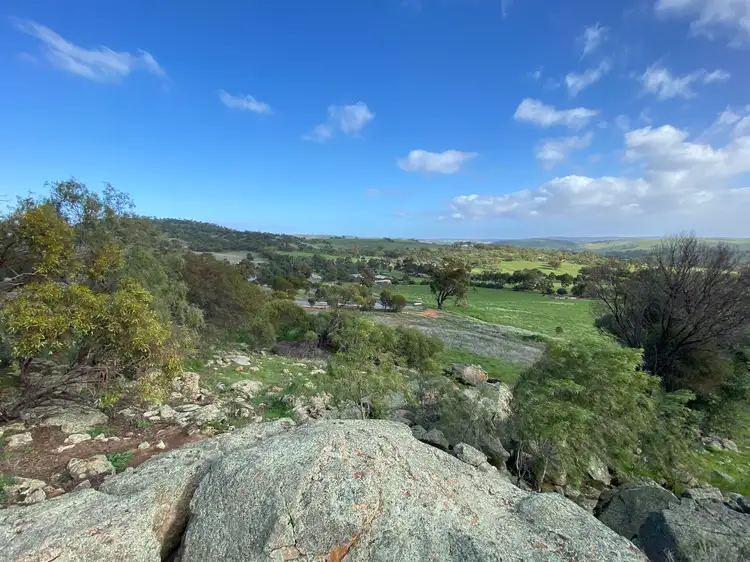 Main view of Homely rural property listing, LOT 101 Nockdomine RD, Toodyay WA 6566