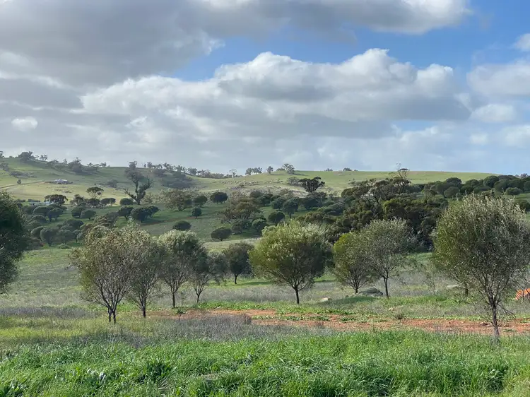 Third view of Homely rural property listing, LOT 101 Nockdomine RD, Toodyay WA 6566