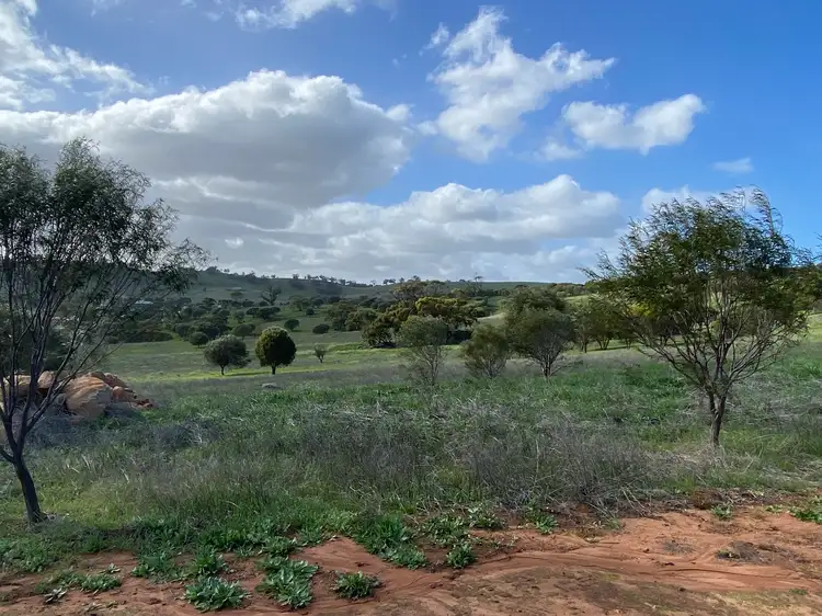 Fifth view of Homely rural property listing, LOT 101 Nockdomine RD, Toodyay WA 6566