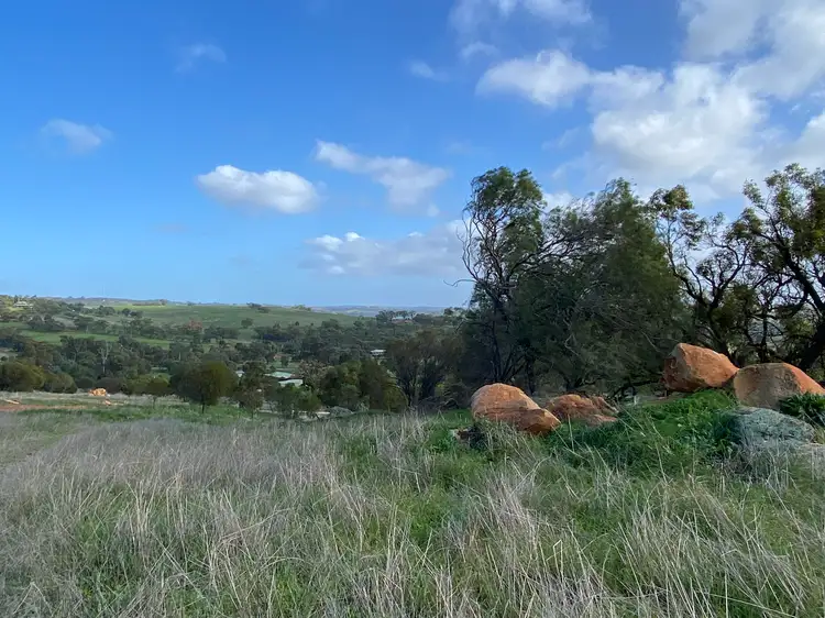 Seventh view of Homely rural property listing, LOT 101 Nockdomine RD, Toodyay WA 6566