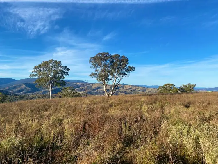 Fifth view of Homely rural property listing, Lot 88, 1765 Pembroke Road, Cassilis NSW 2329