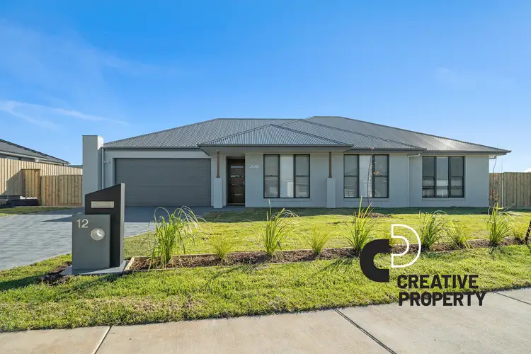 Second view of Homely house listing, 12 Mayo Crescent, Chisholm NSW 2322