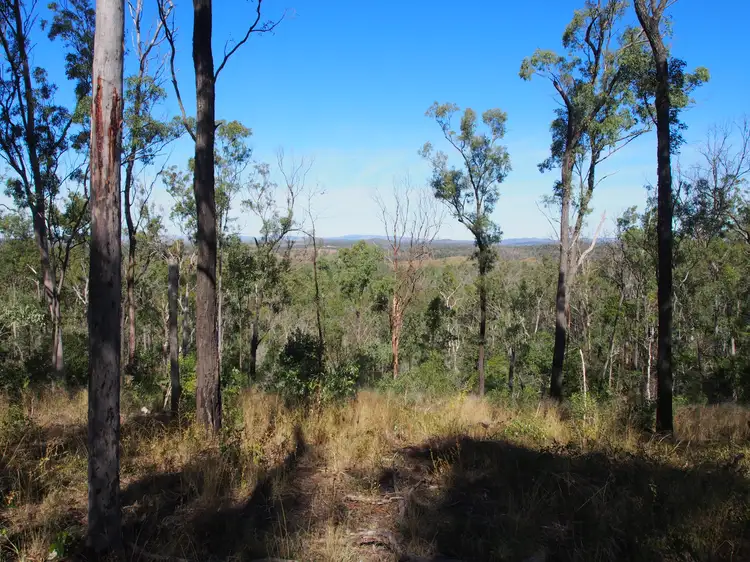 LOT 39 NIELSONS ROAD, Good Night QLD 4671