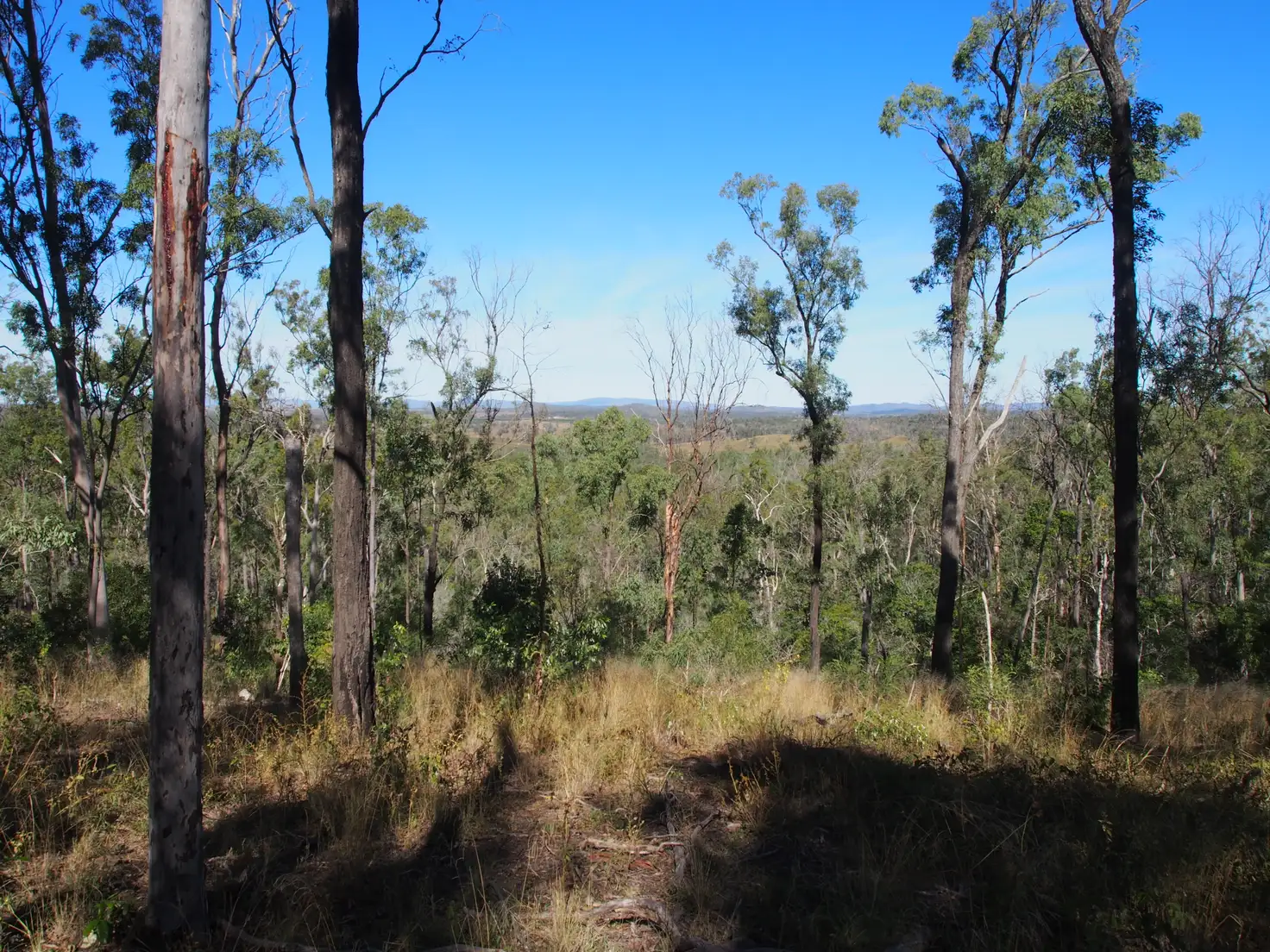 Main view of Homely rural property listing, LOT 39 NIELSONS ROAD, Good Night QLD 4671